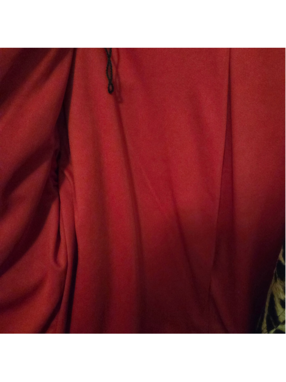 Women's Kelly & Diane Leopard Print Blazer, Size 12, Brown and Red - Picture 3 of 6